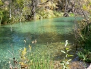 PICTURES/Fossil Springs/t_Fossil Creek1.JPG